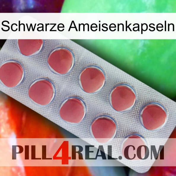 Black Ant Capsules 18
